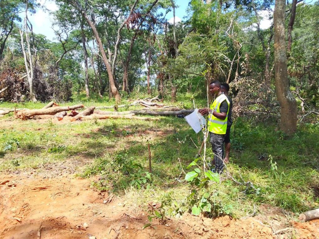 MoreProgressInZambia-IMAGE3-EIRENG